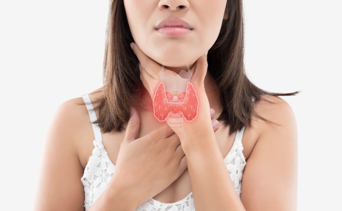 Spécialisation dans l’accompagnement des troubles de la thyroïde